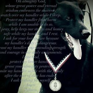 Meet your Posher, Ralph